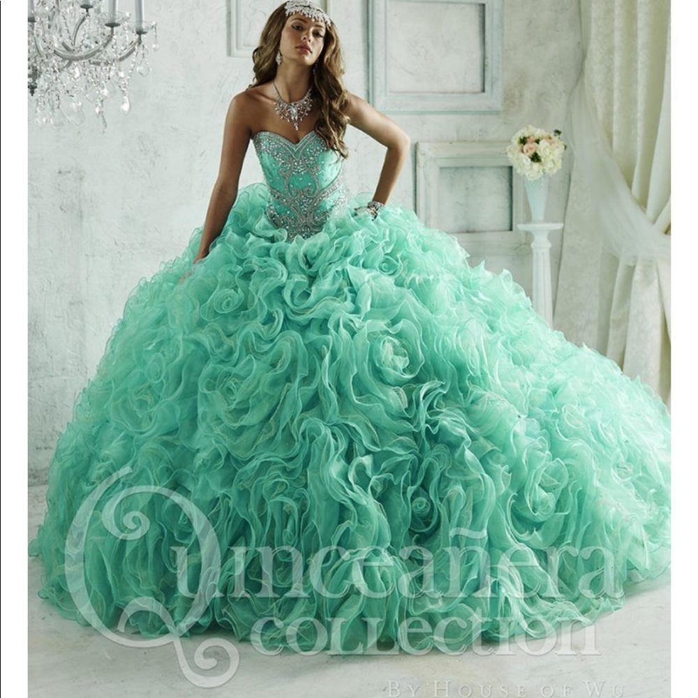 Quinceañera/ Sweet 16 Dress